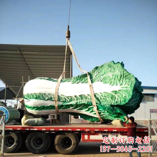 重庆白菜之美——给你一份独特的食材