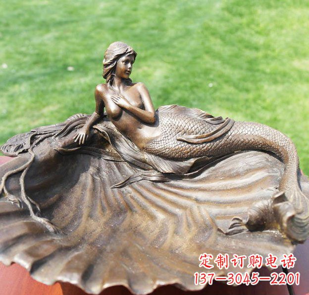 重庆新颖贝壳美丽的艺术之旅