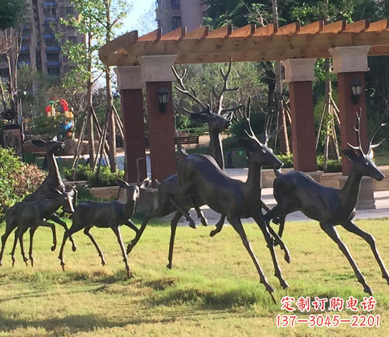 重庆“梅花鹿传递自由与美好”