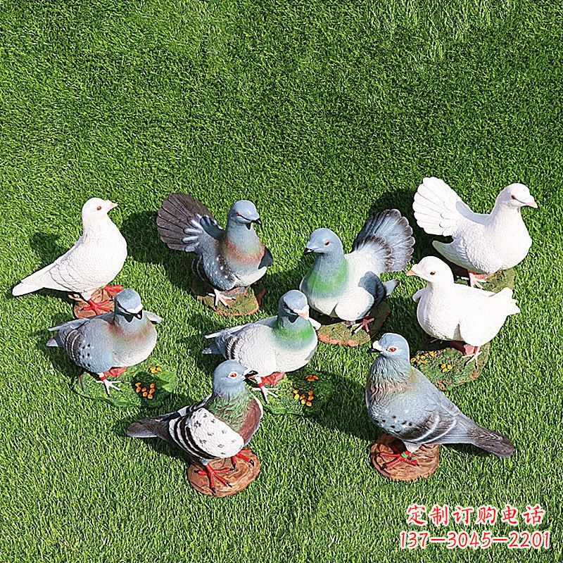 重庆和平鸽毕加索激发的美好灵感