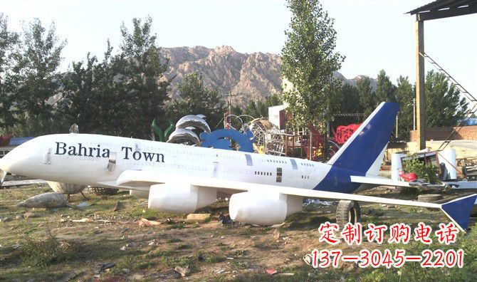 重庆静静躺在大地上的不锈钢飞机雕塑