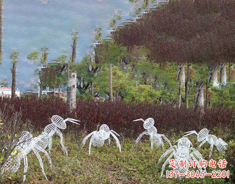重庆不锈钢蚂蚁镂空雕塑艺术与自然的完美结合
