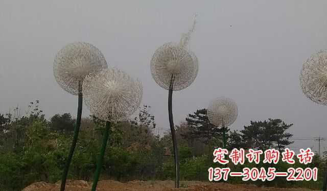 重庆蒲公英的绚丽多彩