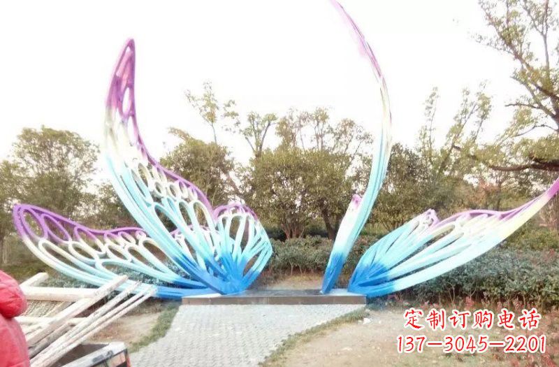 重庆彩色不锈钢蝴蝶