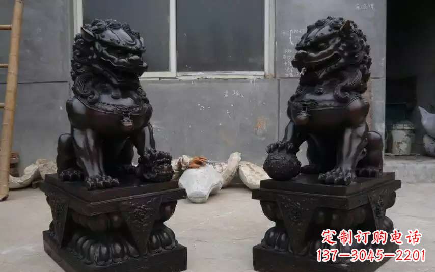 重庆踩球镇的狮子之家