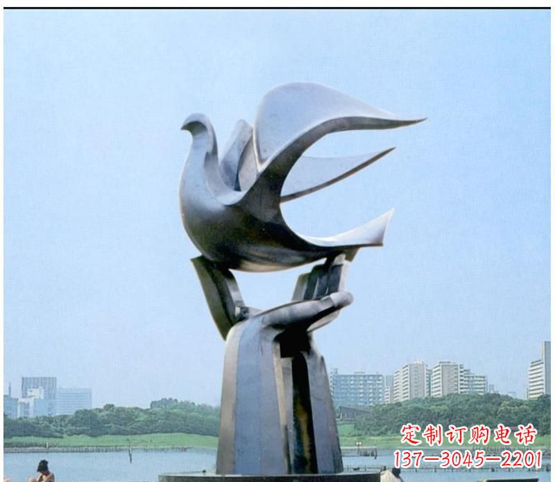 重庆静谧之鸽,传递和平象征~
