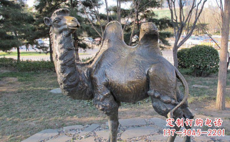 重庆公园骆驼动物铜雕 (4)