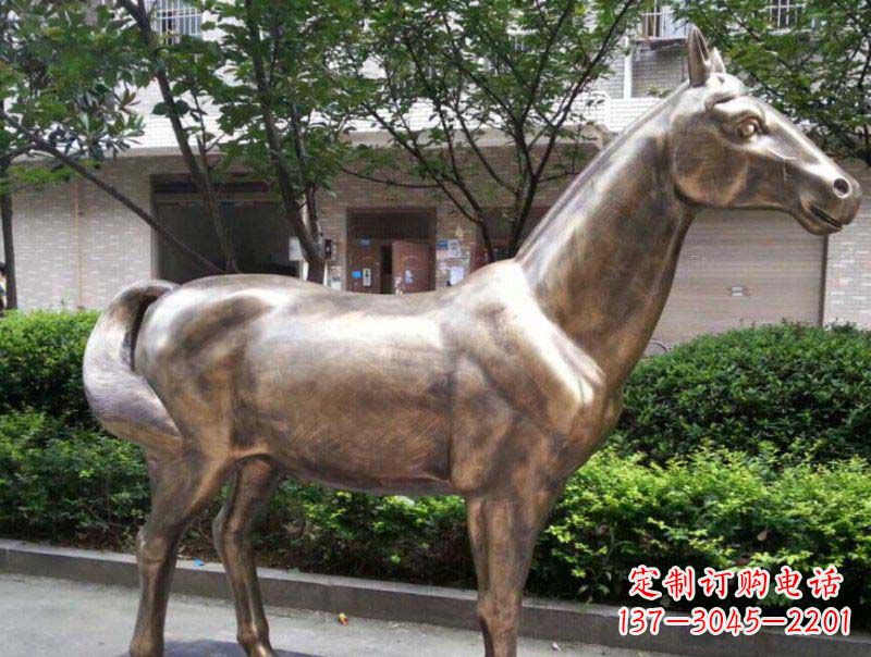 重庆公园马动物铜雕 (3)