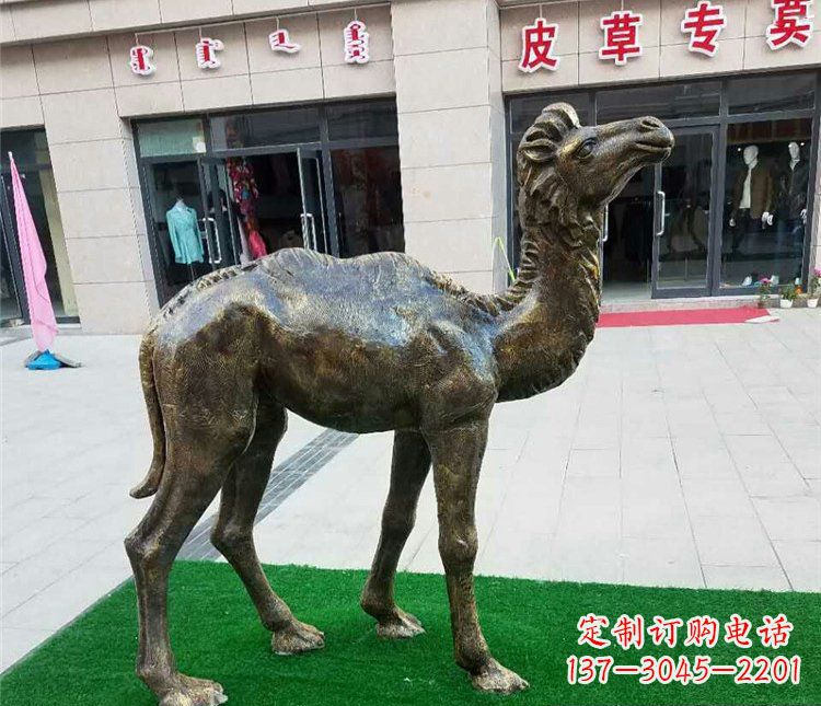重庆公园小骆驼动物铜雕 (2)