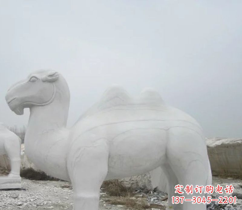重庆汉白玉骆驼石雕塑,装点家居空间
