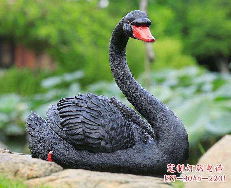 重庆黑色天鹅卧姿雕塑-园林水景动物摆件