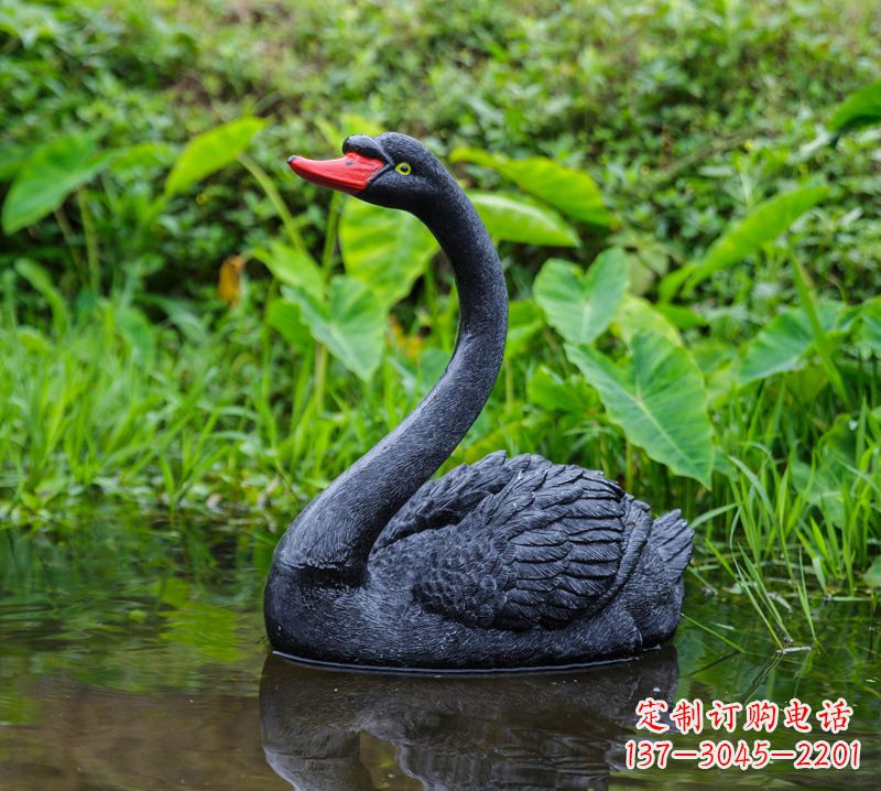重庆黑天鹅仰脖款-园林水塘水景装饰动物摆件