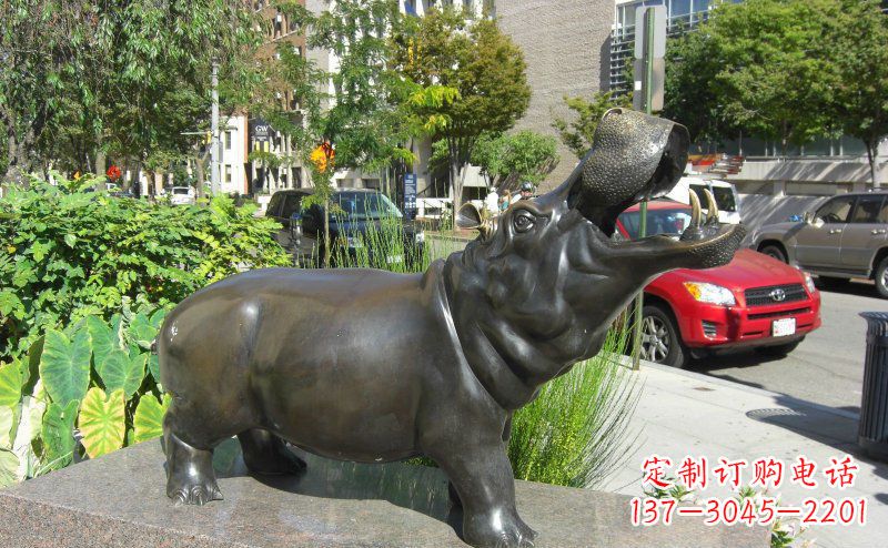重庆街边河马景观铜雕