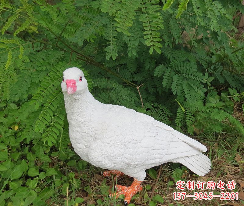 重庆灵鸽雕塑鸽子呢