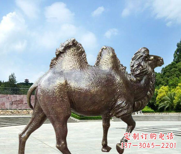 重庆骆驼动物铜雕 (2)