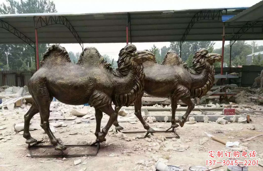 重庆欣赏大自然的艺术之作——骆驼铜雕