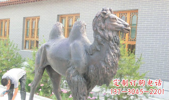 重庆精美的骆驼铜雕,提升您的公园气质