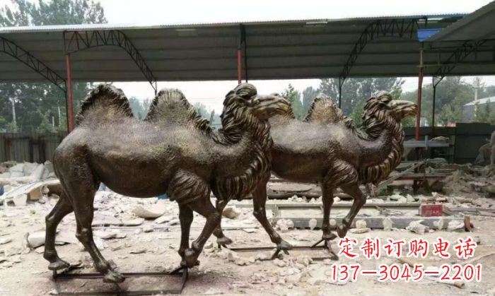 重庆骆驼动物铜雕 (4)