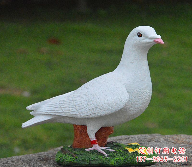 重庆美丽的和平鸽雕塑,传递暖暖的正能量