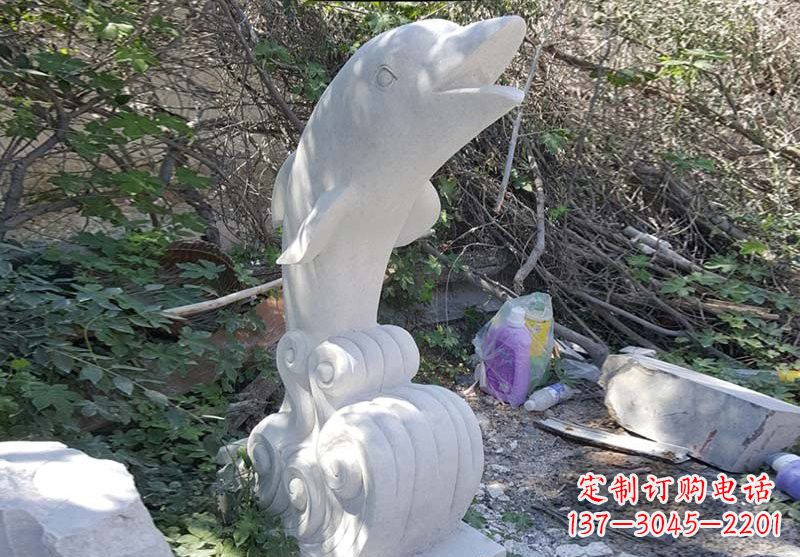 重庆海豚雕塑:悠闲无比的精灵
