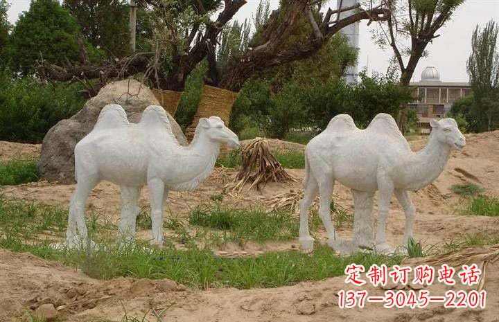重庆欣赏大自然,石雕骆驼公园动物雕塑邀请您