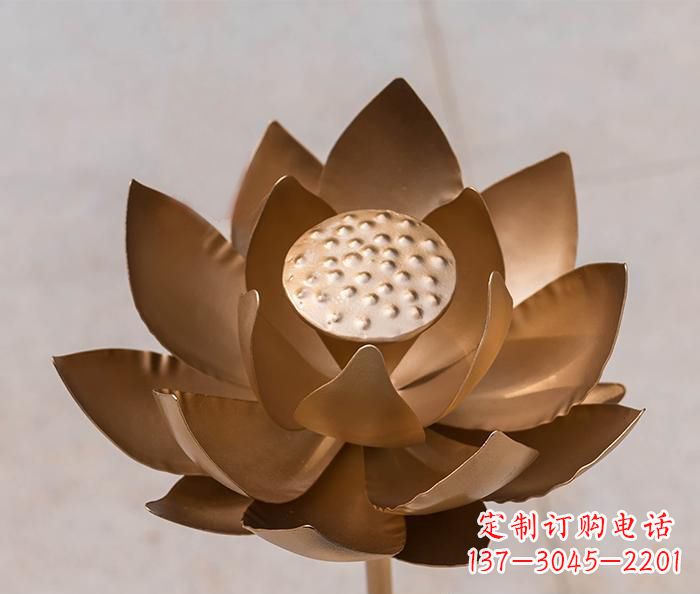 重庆铜雕景观荷花