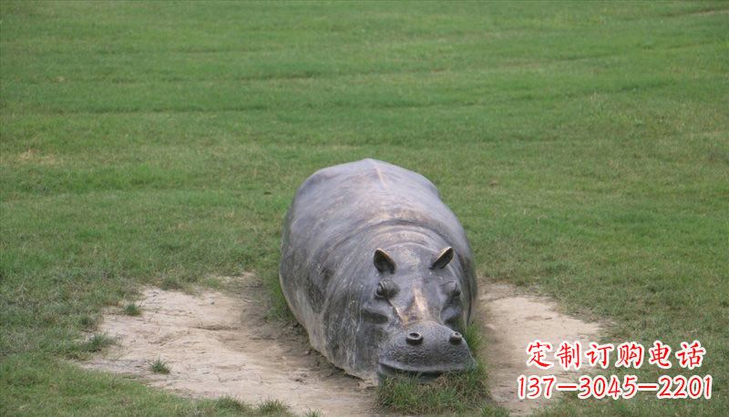重庆铜雕趴着的河马
