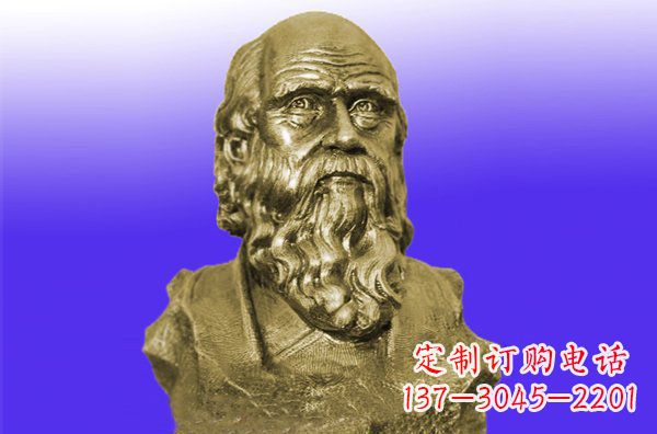 重庆托尔斯泰头像铜雕