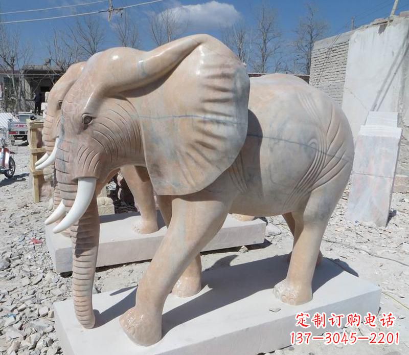 重庆晚霞红卷鼻大象