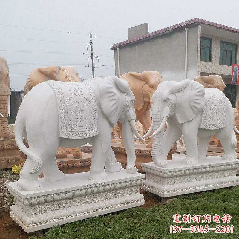 重庆学校石雕大象